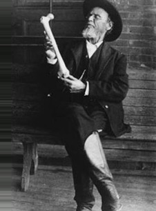 Andrew Taylor Still